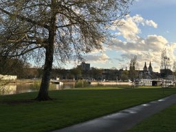 img_0394