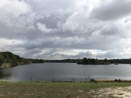 IMG_2600